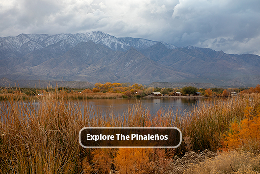 Explore the Pinaleño Mountains